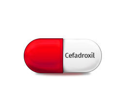 Cefadroxil